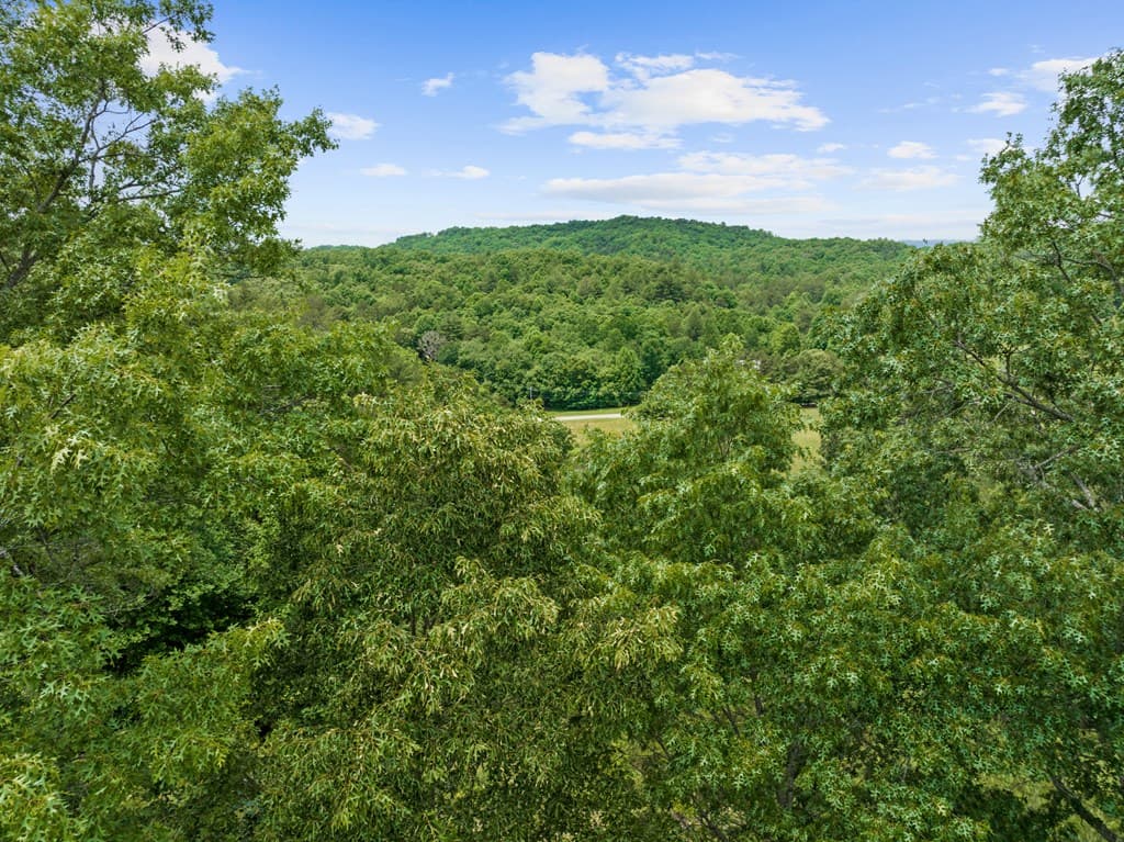 177 Shangri La Drive, Mineral Bluff GA 30559 - Photo