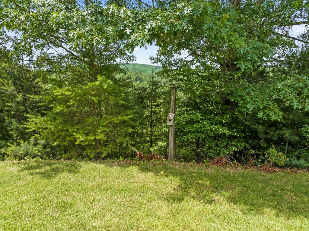 177 Shangri La Drive, Mineral Bluff GA 30559 - Photo