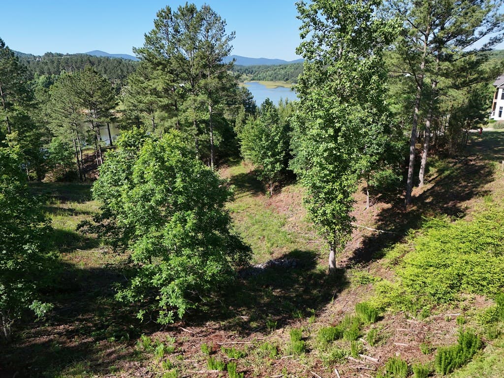 Lot 2 Big Knoll Drive, Blairsville GA 30512 - Photo
