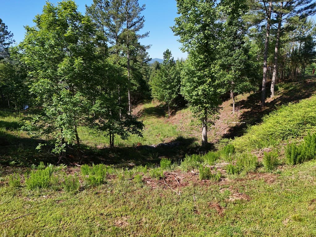 Lot 2 Big Knoll Drive, Blairsville GA 30512 - Photo
