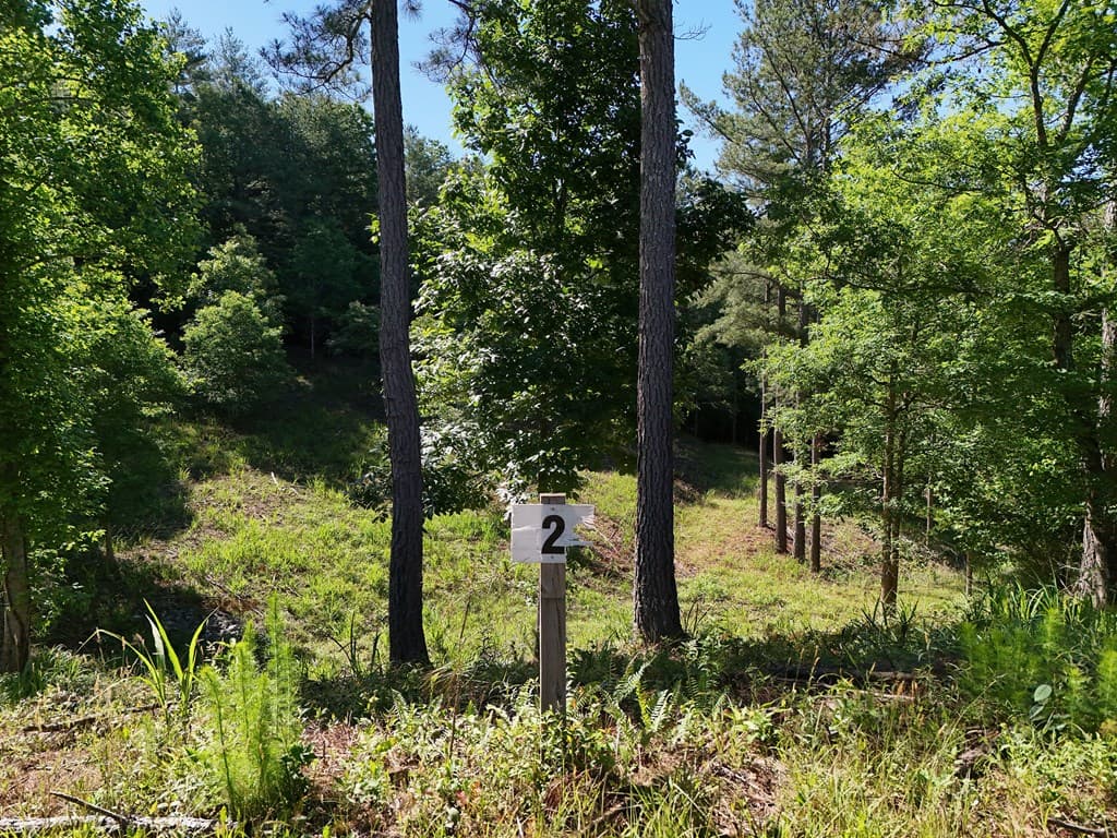 Lot 2 Big Knoll Drive, Blairsville GA 30512 - Photo