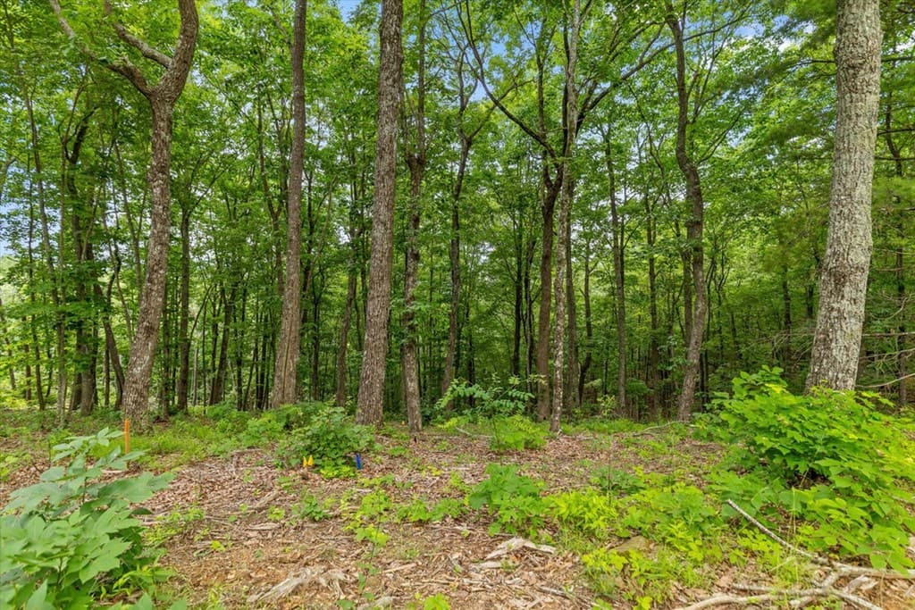 Lot 414 Calloway Mountain Road, Talking Rock GA 30175 - Photo