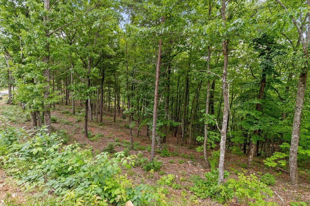 Lot 414 Calloway Mountain Road, Talking Rock GA 30175 - Photo