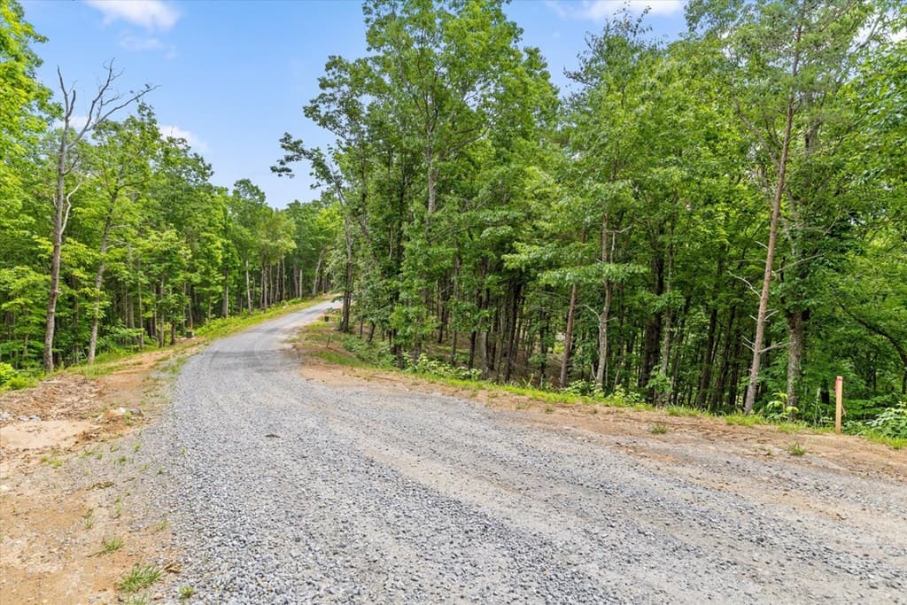 Lot 414 Calloway Mountain Road, Talking Rock GA 30175 - Photo