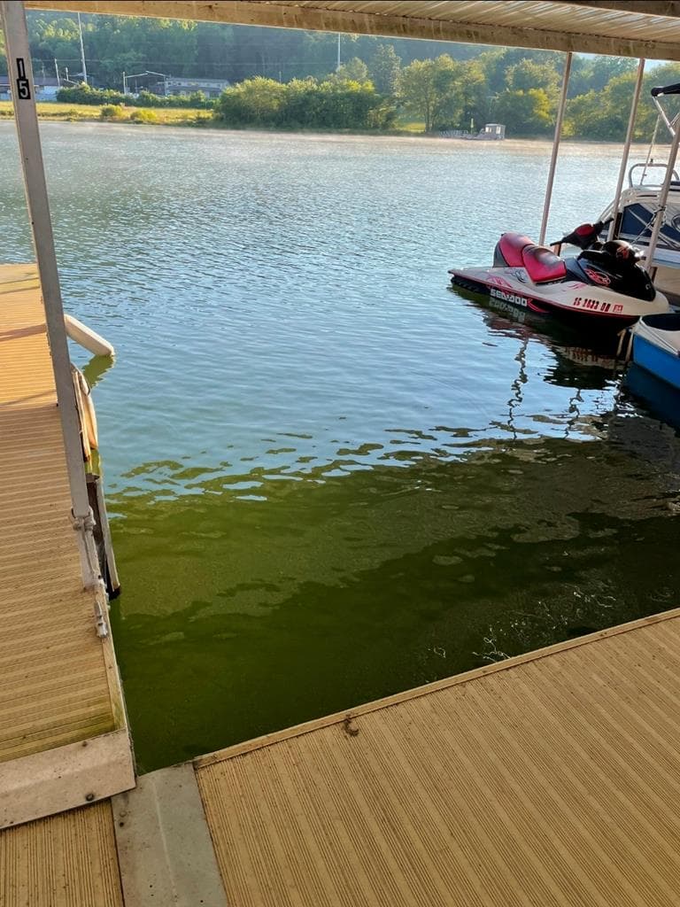 M2 Admirals Point, Hiawassee GA 30546 - Photo