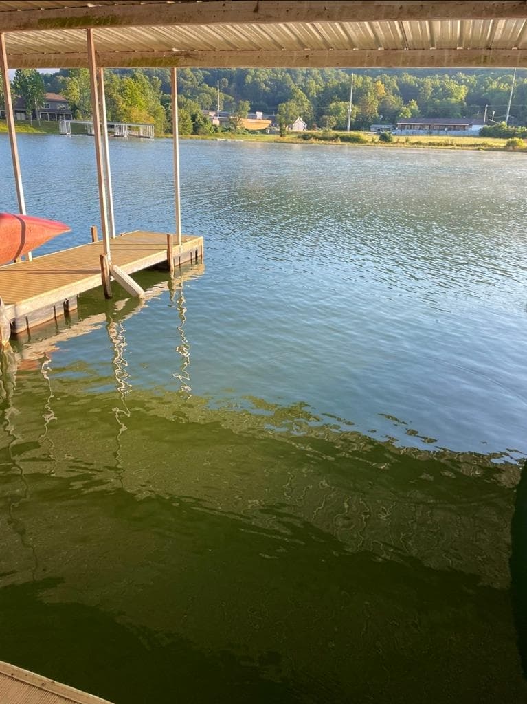 M2 Admirals Point, Hiawassee GA 30546 - Photo