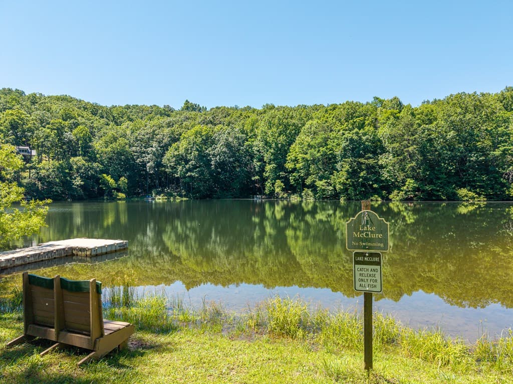 775 Mountain Oak Road, Ellijay GA 30540 - Photo