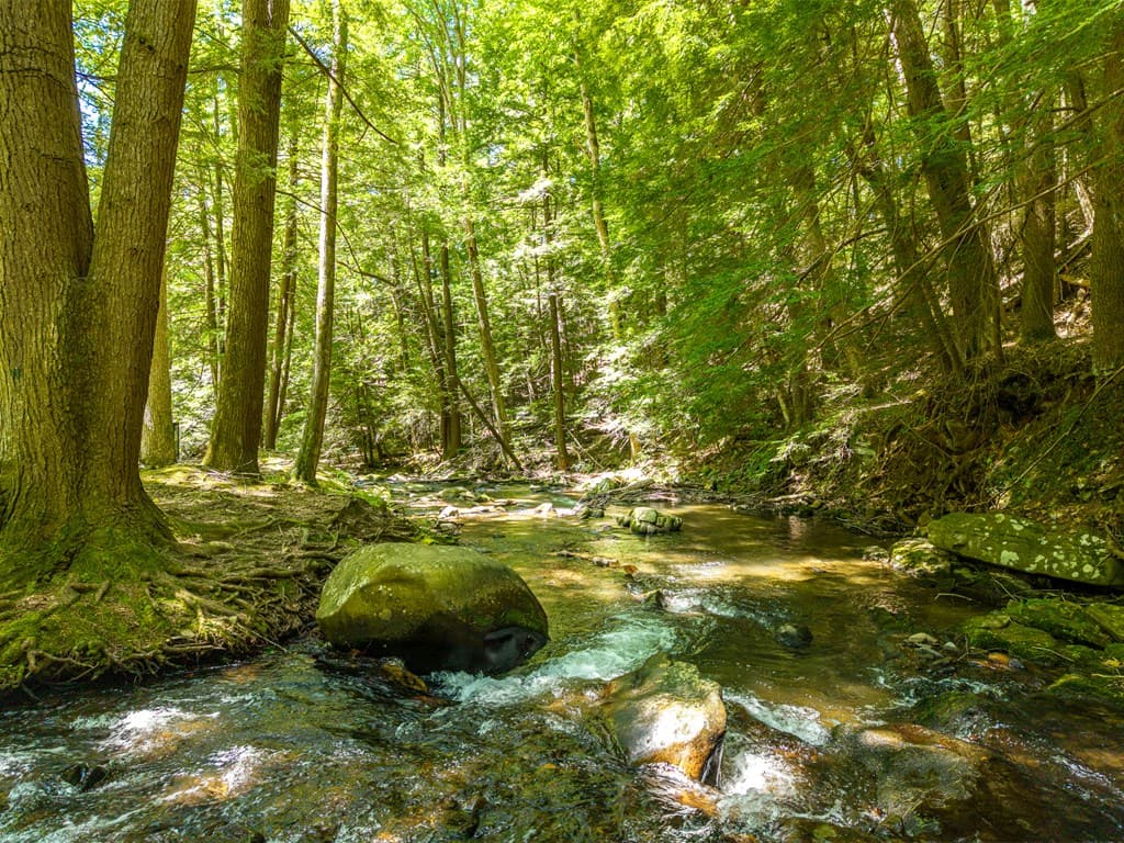 775 Mountain Oak Road, Ellijay GA 30540 - Photo