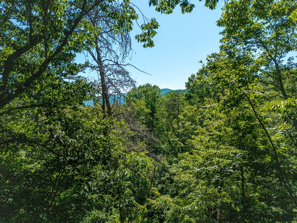 775 Mountain Oak Road, Ellijay GA 30540 - Photo