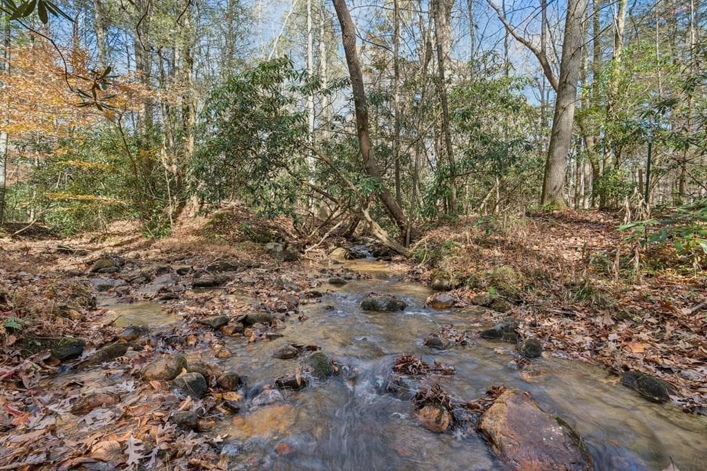 491 Old Parker Terrace, Ellijay GA 30536 - Photo