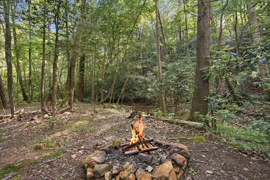 491 Old Parker Terrace, Ellijay GA 30536 - Photo