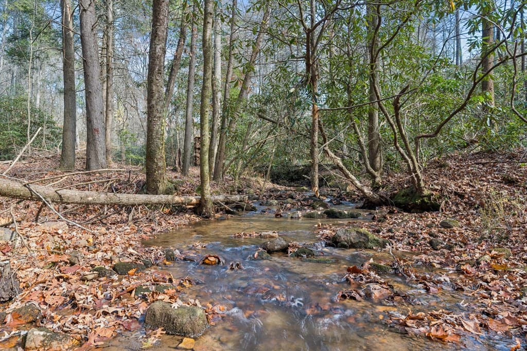 491 Old Parker Terrace, Ellijay GA 30536 - Photo