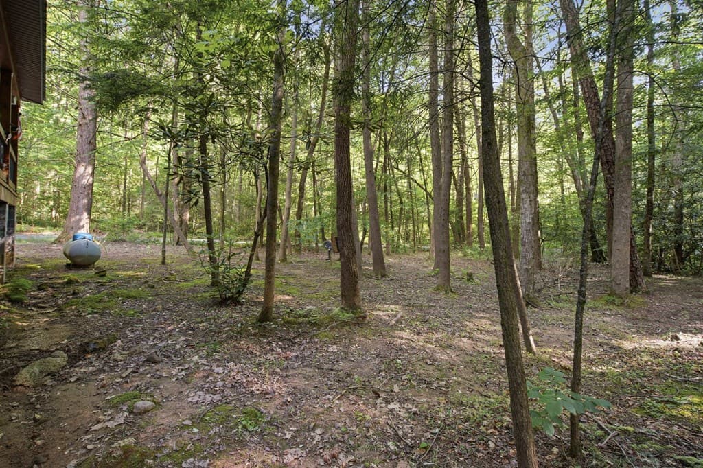 491 Old Parker Terrace, Ellijay GA 30536 - Photo