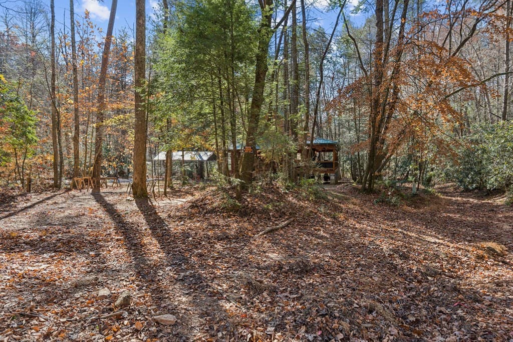 491 Old Parker Terrace, Ellijay GA 30536 - Photo