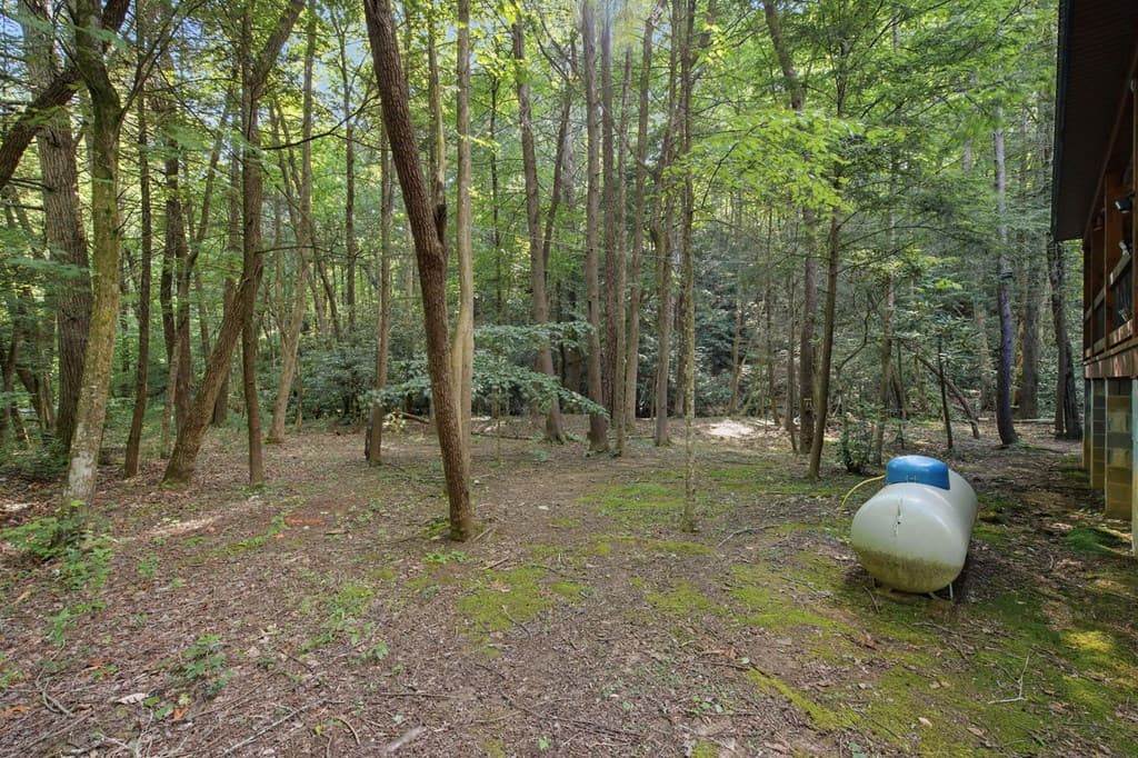 491 Old Parker Terrace, Ellijay GA 30536 - Photo