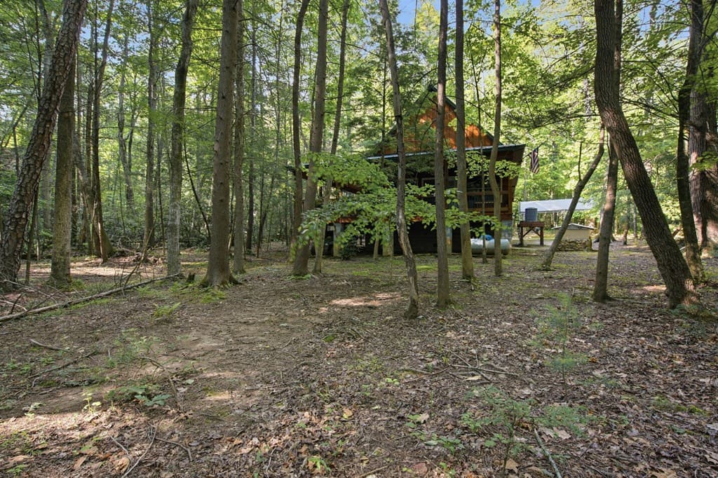 491 Old Parker Terrace, Ellijay GA 30536 - Photo