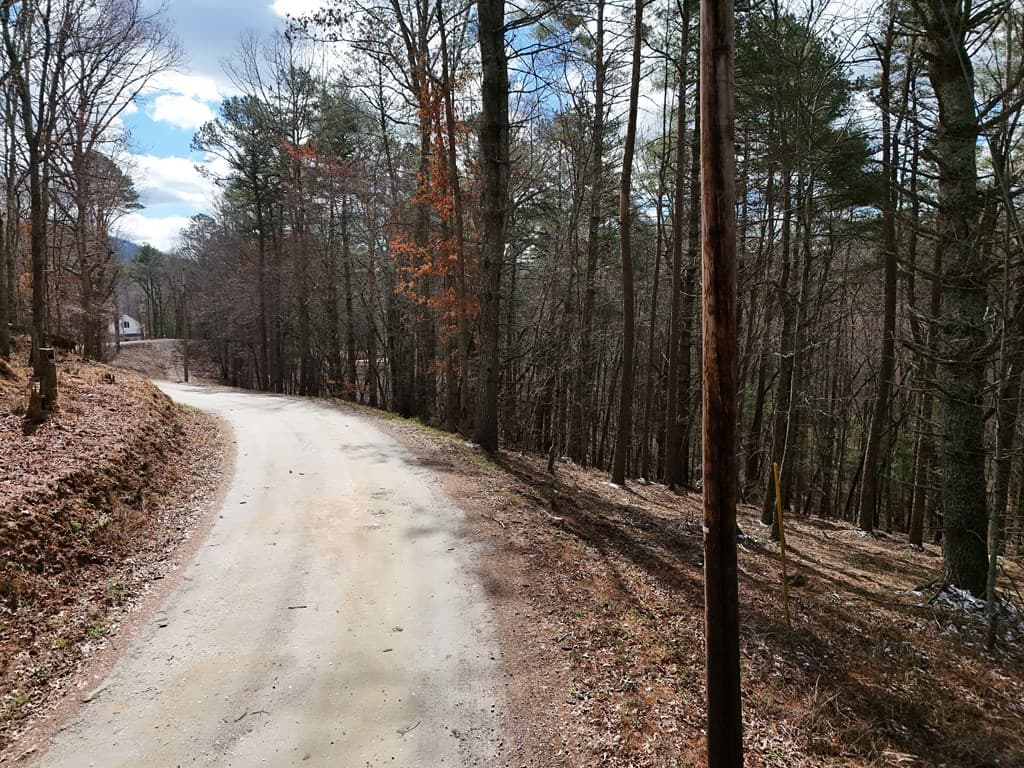 LT 45A Synacia Drive, Mineral Bluff GA 30559 - Photo