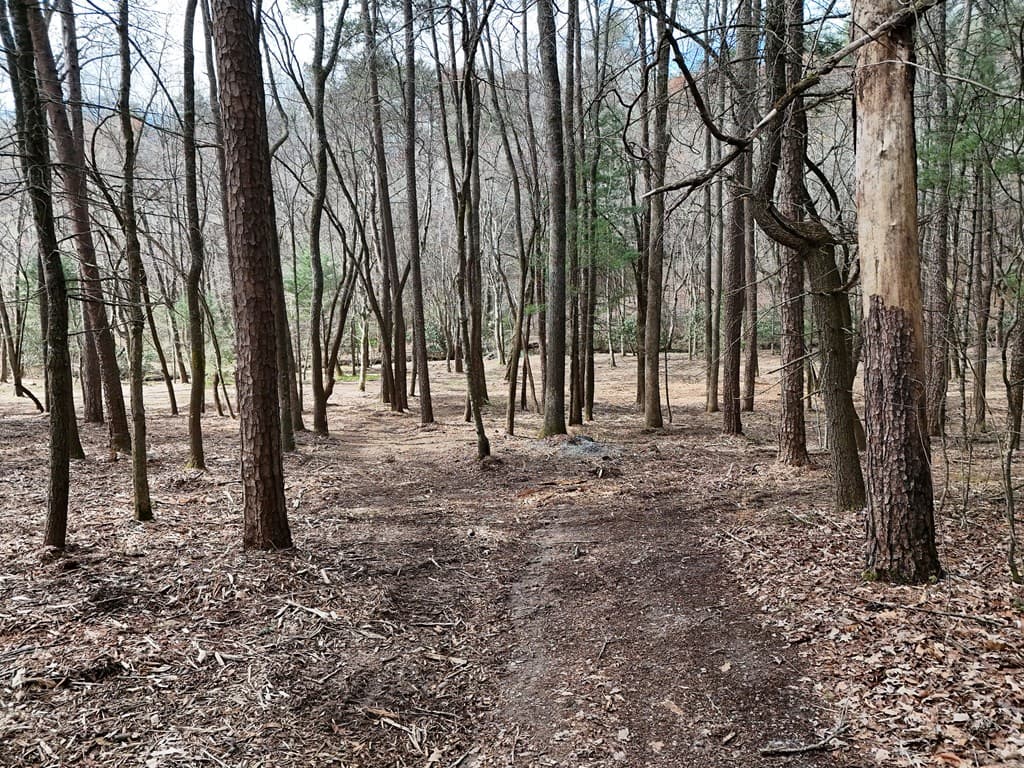 LT 45A Synacia Drive, Mineral Bluff GA 30559 - Photo