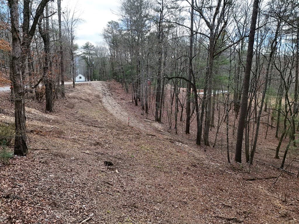 LT 45A Synacia Drive, Mineral Bluff GA 30559 - Photo