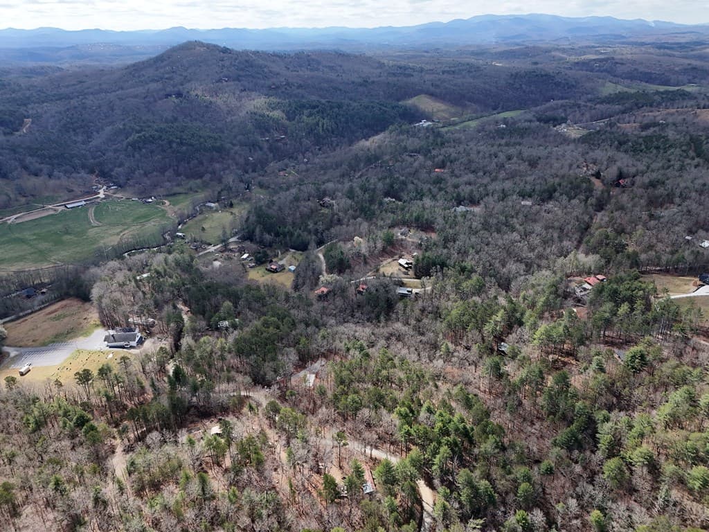 LT 45A Synacia Drive, Mineral Bluff GA 30559 - Photo