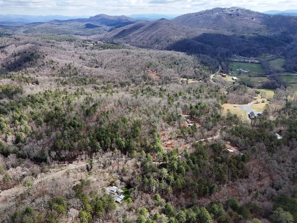 LT 45A Synacia Drive, Mineral Bluff GA 30559 - Photo
