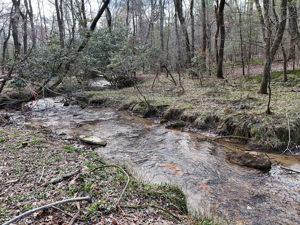 LT 45A Synacia Drive, Mineral Bluff GA 30559 - Photo