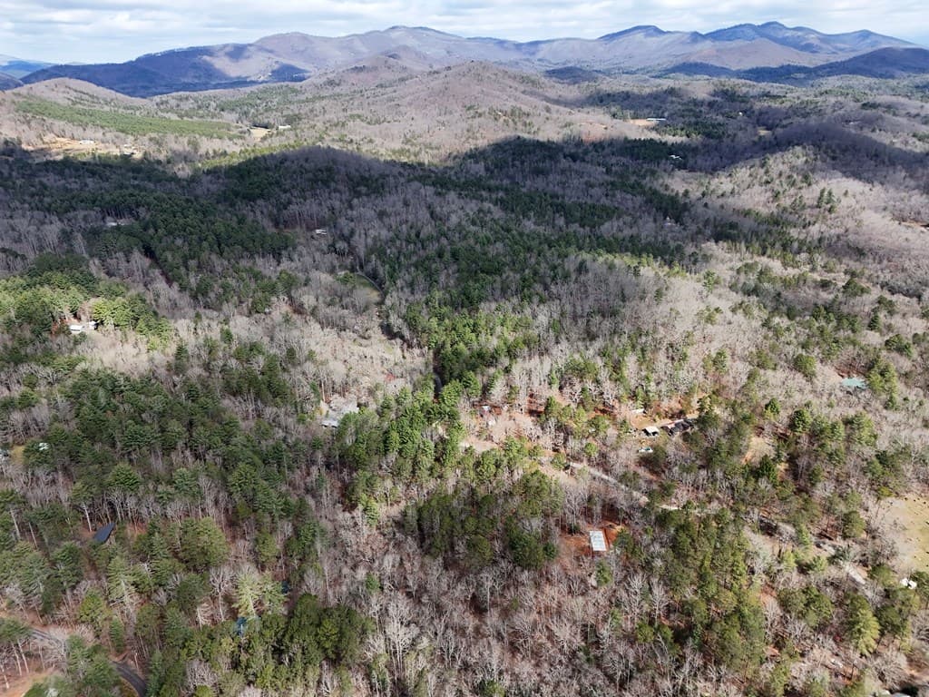 LT 45A Synacia Drive, Mineral Bluff GA 30559 - Photo