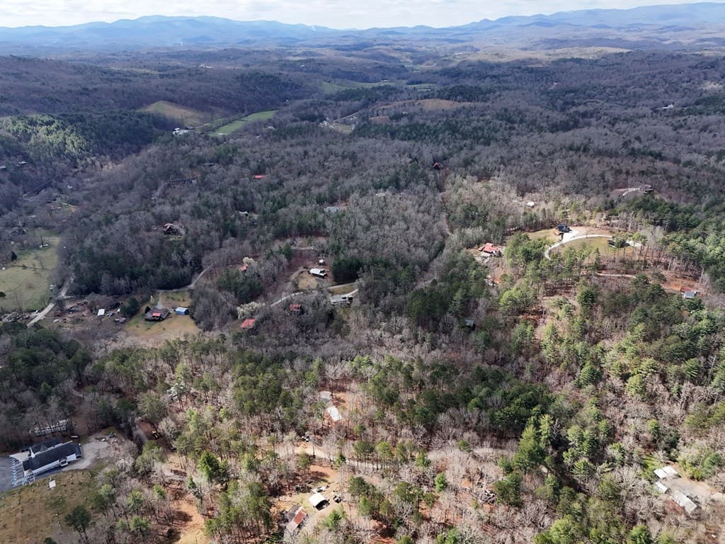 LT 45A Synacia Drive, Mineral Bluff GA 30559 - Photo
