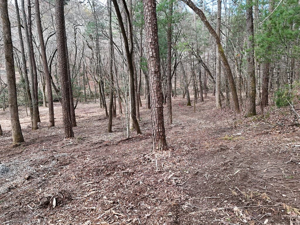 LT 45A Synacia Drive, Mineral Bluff GA 30559 - Photo
