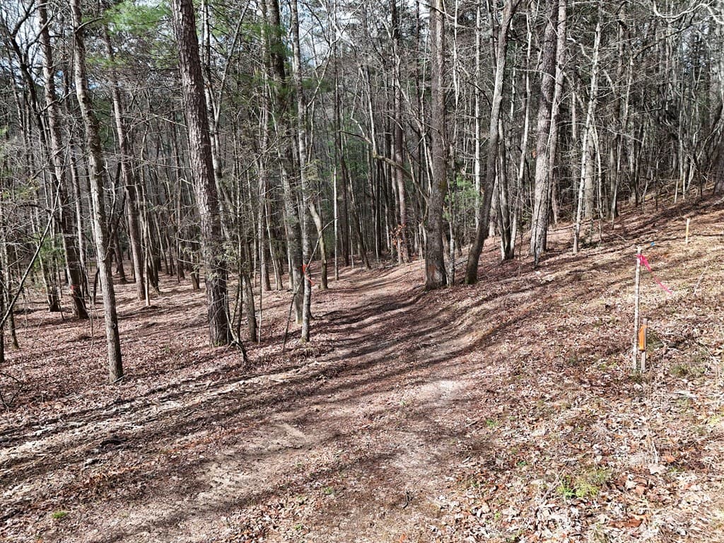 LT 45A Synacia Drive, Mineral Bluff GA 30559 - Photo