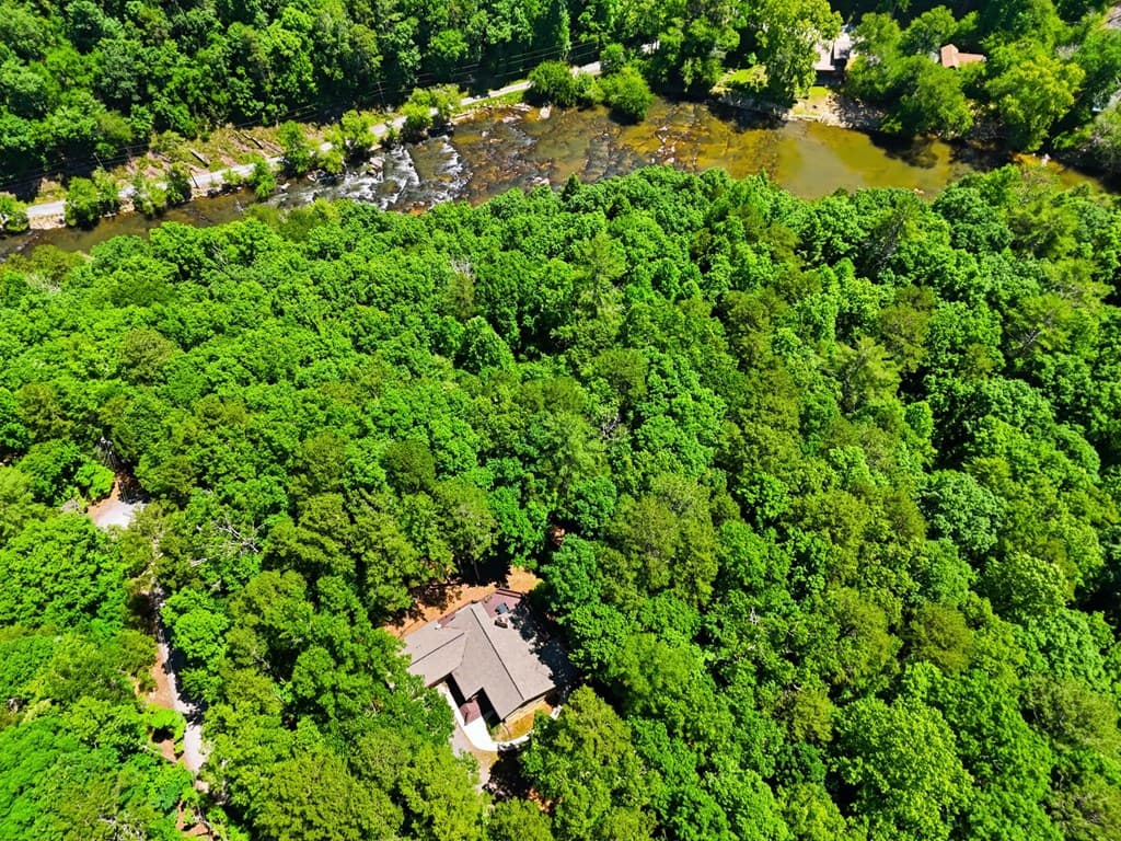 142 Armor Court, Ellijay GA 30540 - Photo