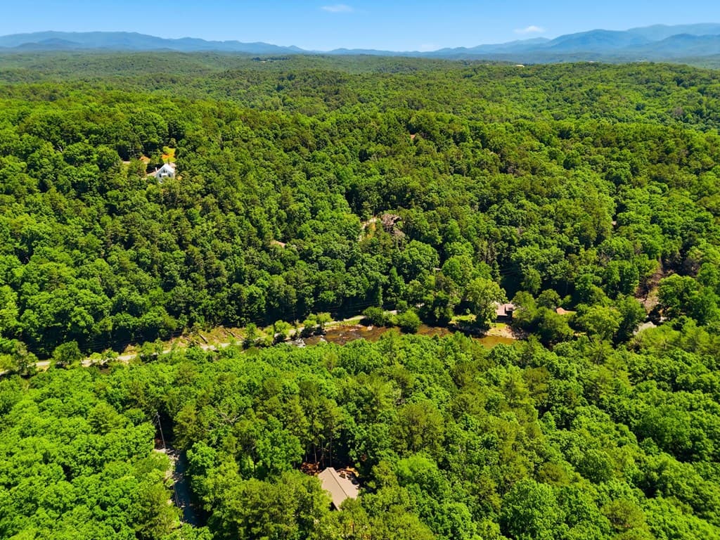 142 Armor Court, Ellijay GA 30540 - Photo