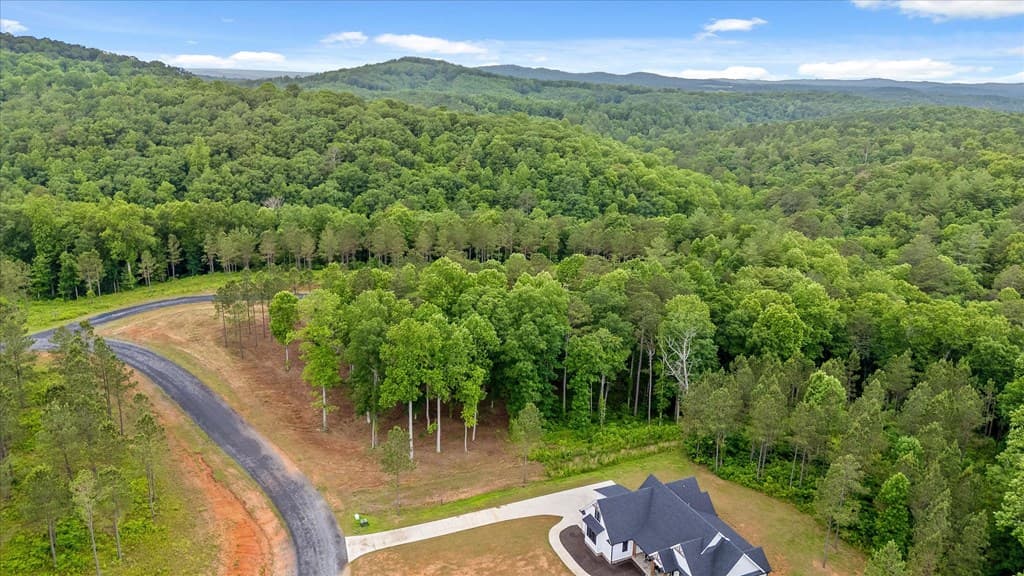 Lot 324 Greenview Landing, Talking Rock GA 30175 - Photo