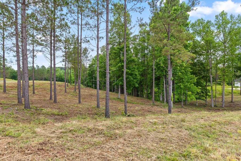 Lot 324 Greenview Landing, Talking Rock GA 30175 - Photo