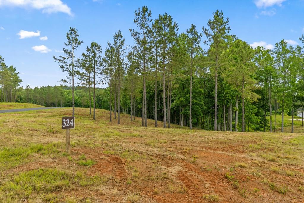 Lot 324 Greenview Landing, Talking Rock GA 30175 - Primary photo