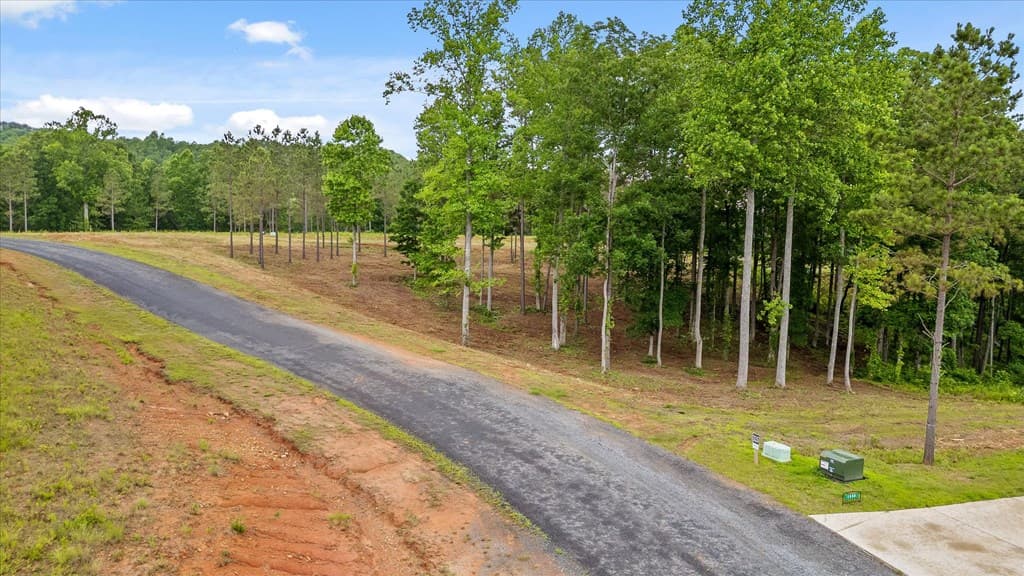 Lot 324 Greenview Landing, Talking Rock GA 30175 - Photo