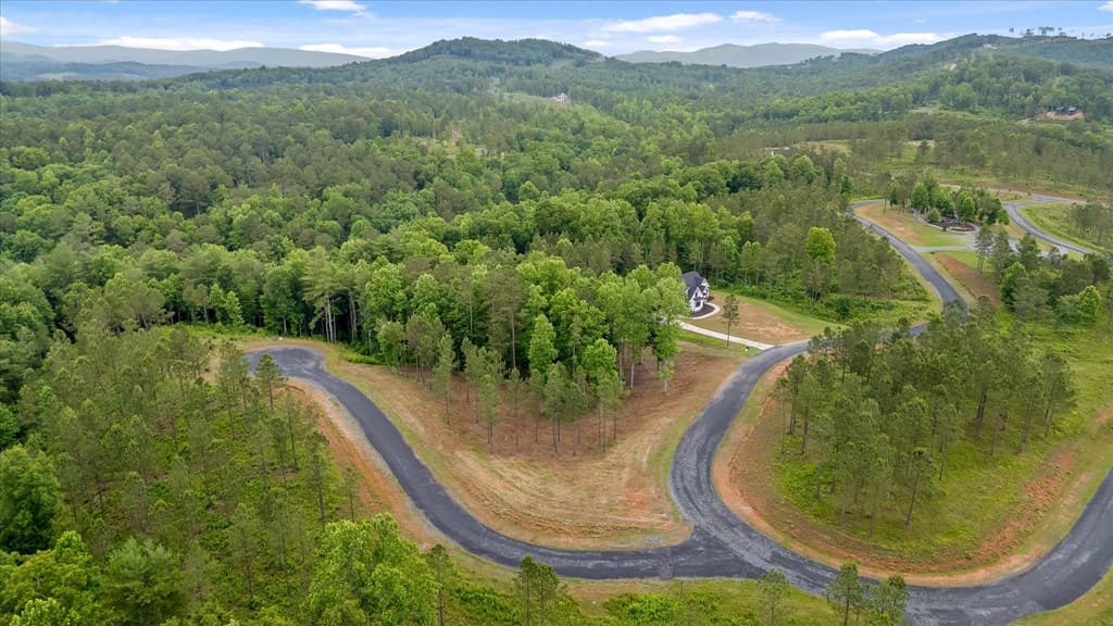 Lot 324 Greenview Landing, Talking Rock GA 30175 - Photo