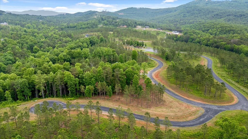Lot 324 Greenview Landing, Talking Rock GA 30175 - Photo