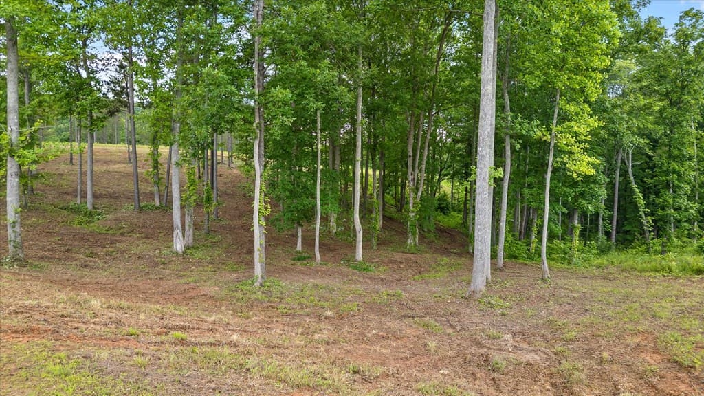 Lot 324 Greenview Landing, Talking Rock GA 30175 - Photo