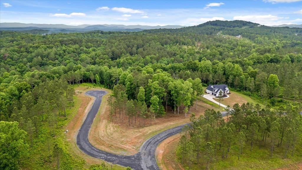 Lot 324 Greenview Landing, Talking Rock GA 30175 - Photo