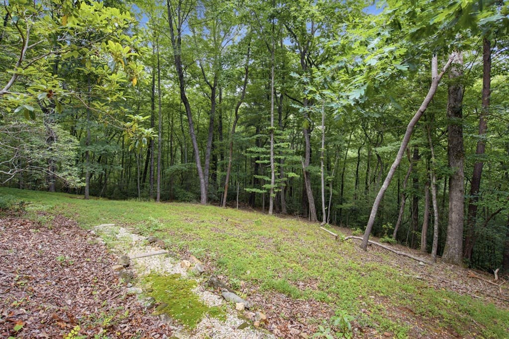 4154 Wilderness Parkway, Big Canoe GA 30143 - Photo