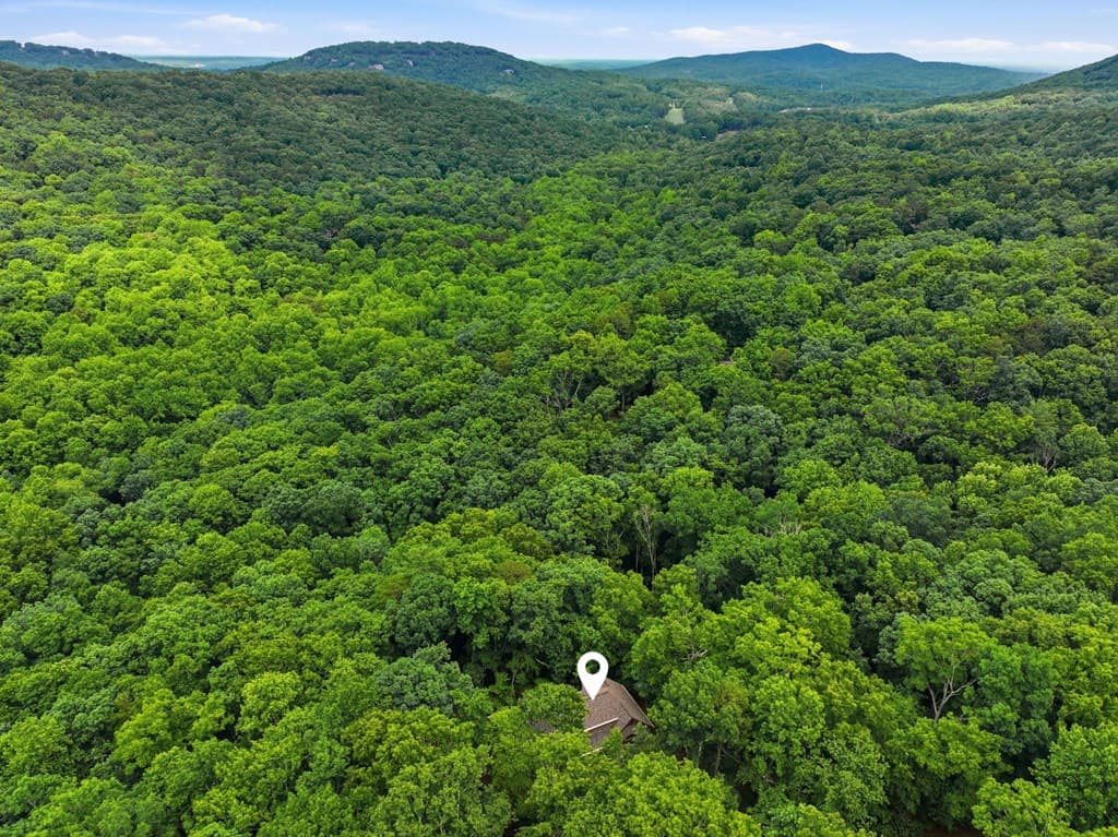 4154 Wilderness Parkway, Big Canoe GA 30143 - Photo