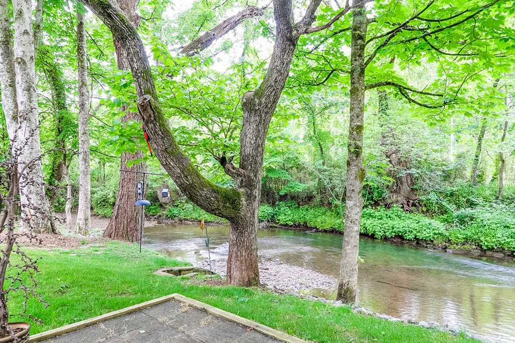 107 Litton Way, Blairsville GA 30512 - Photo