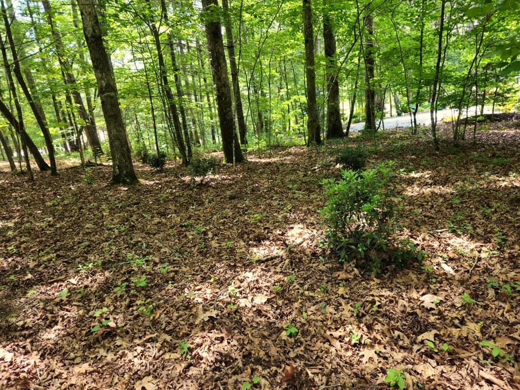 211 Winding Brook Trail, Morganton GA 30560 - Photo