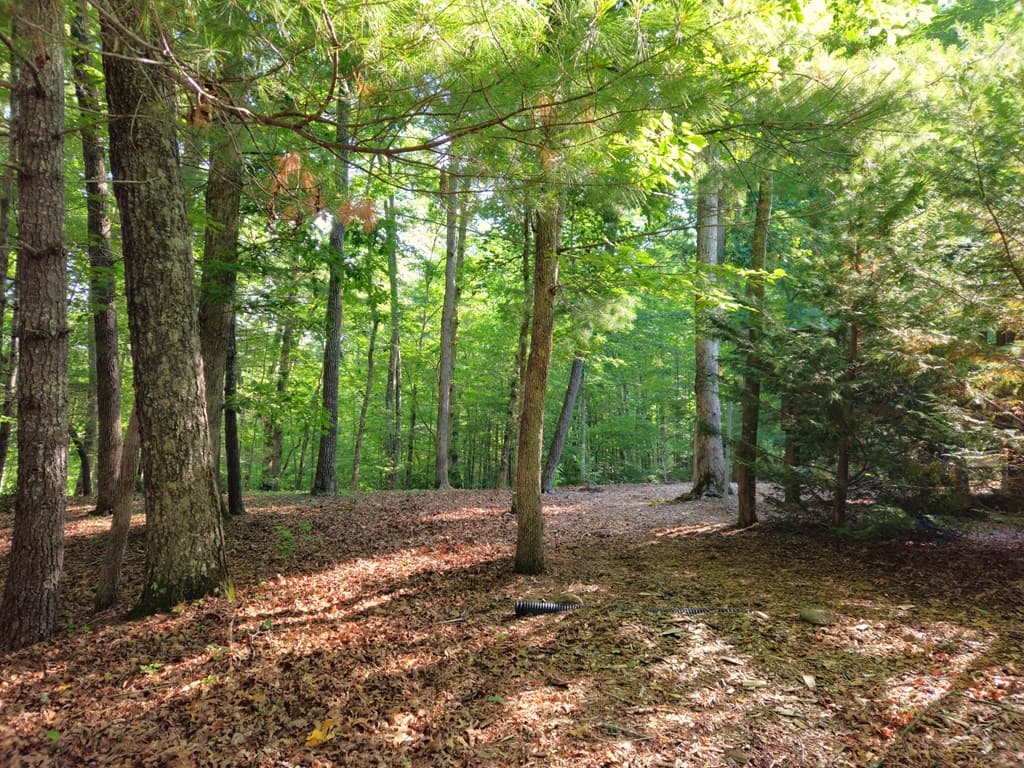211 Winding Brook Trail, Morganton GA 30560 - Photo