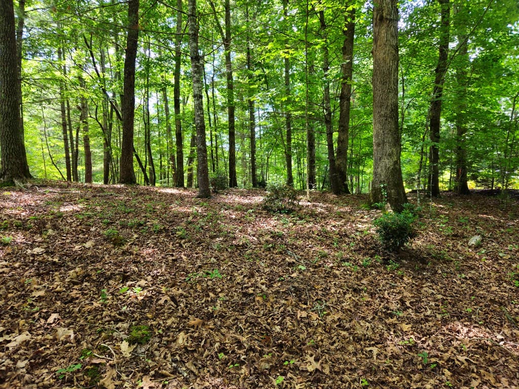 211 Winding Brook Trail, Morganton GA 30560 - Photo