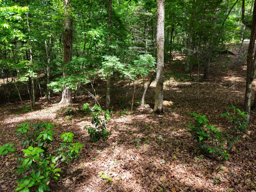 211 Winding Brook Trail, Morganton GA 30560 - Photo