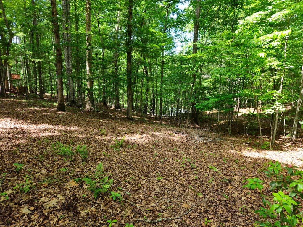 211 Winding Brook Trail, Morganton GA 30560 - Photo