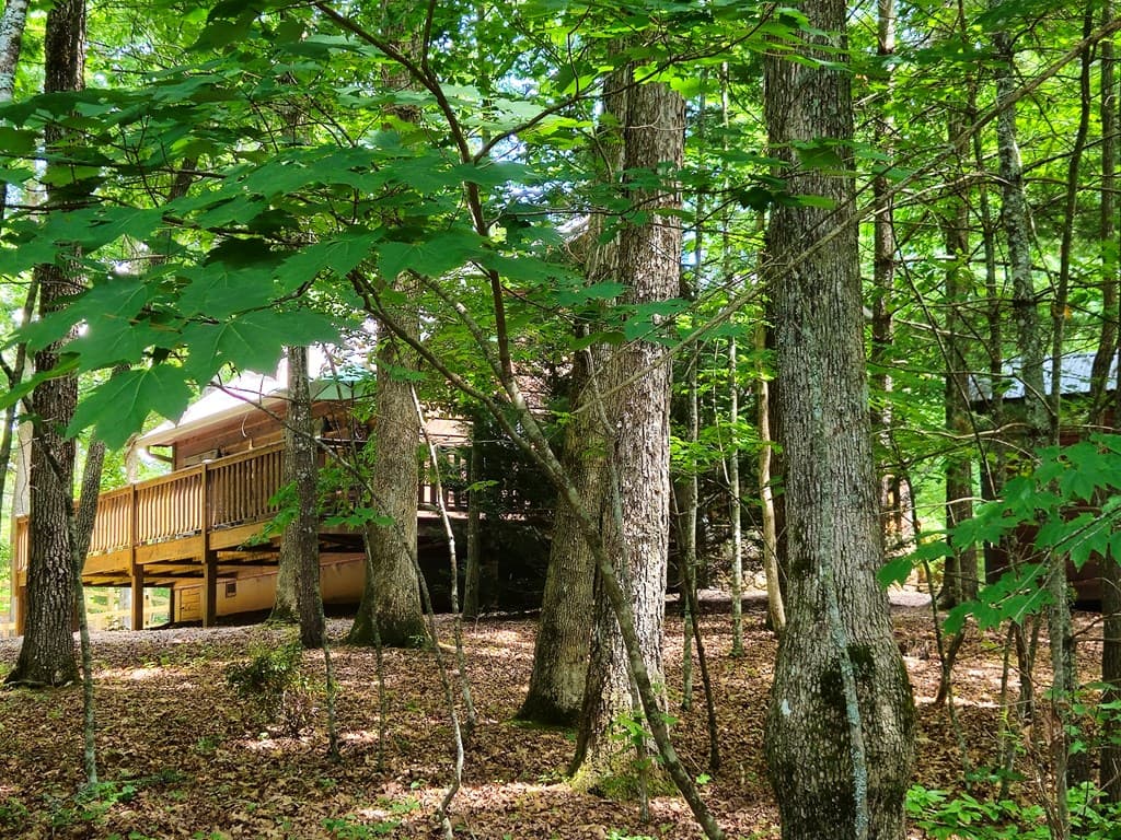 211 Winding Brook Trail, Morganton GA 30560 - Photo