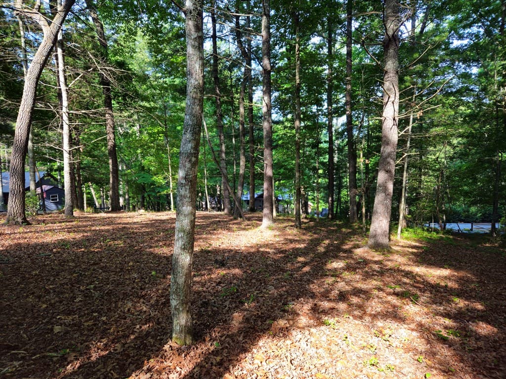 211 Winding Brook Trail, Morganton GA 30560 - Photo